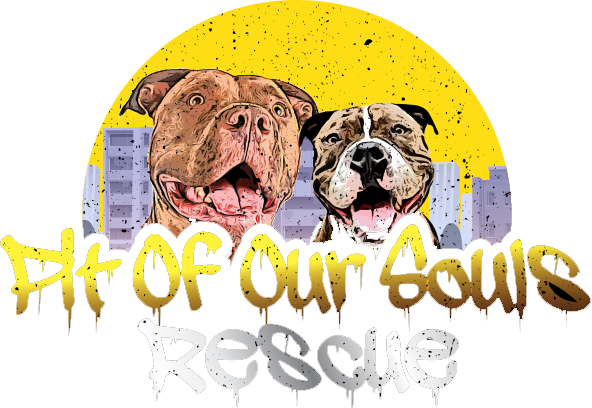 Pit Of Our Souls Rescue